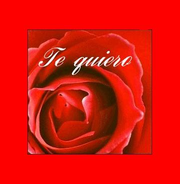 la rose k tous le monde aiment